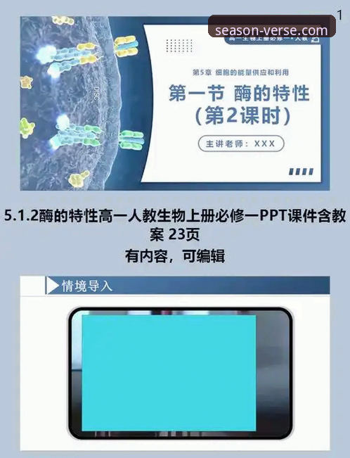 四季官方网站详解：正版认证入口与高效使用指南